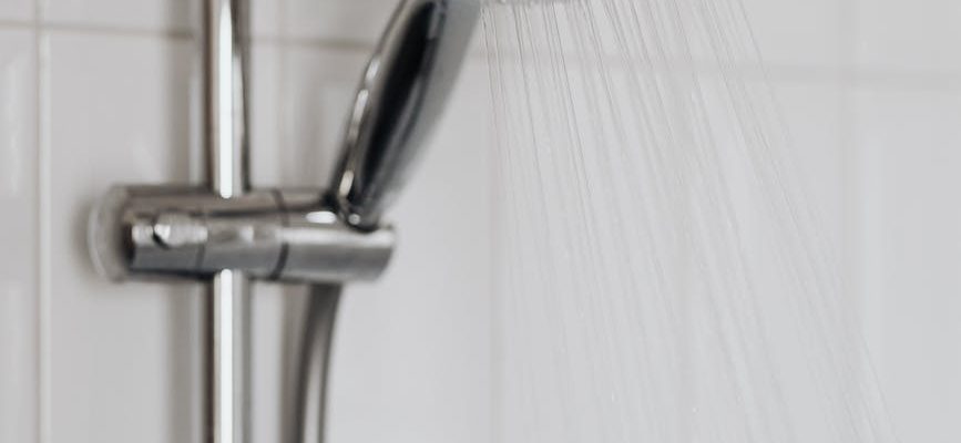 Karsten Gaedke und Alexander Schulze  präsentieren die Investoren ihre Dusch-Wassersparer Bluegreen Erfindung „PUREGREEN“, einen Duschkopf, der bis zu 50 Prozent Wasser sparen soll.